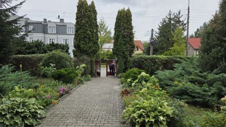 Wolontariusze z firmy Trouwn Nutrition, foto nr 40, 