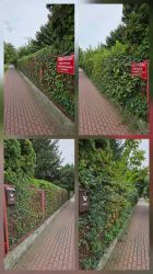 Wolontariusze z firmy Trouwn Nutrition, foto nr 44, 