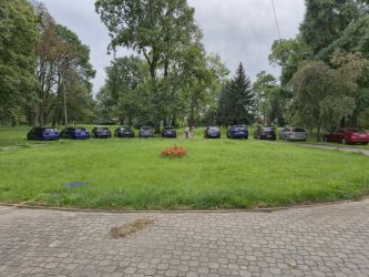 Wolontariusze z firmy Trouwn Nutrition, foto nr 53, 