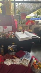 Powiatowy Przegląd Twórczości Osób Niepełnosprawnych - Ogrody Integracji, foto nr 13, 